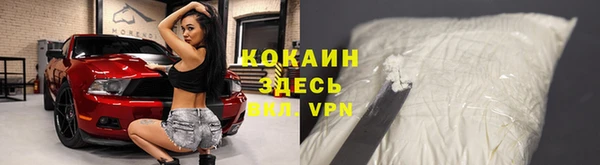 стафф Абинск