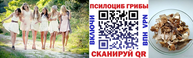 Галлюциногенные грибы MAGIC MUSHROOMS MEGA Советск купить наркотик